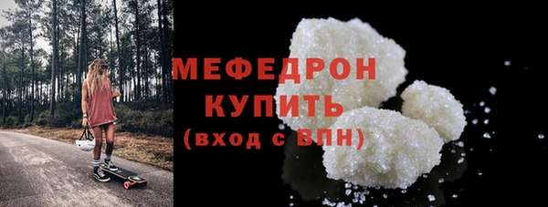 мдпв Ельня
