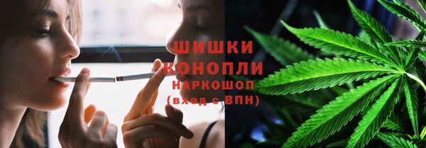 мдпв Ельня
