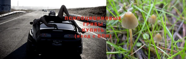 мдпв Ельня