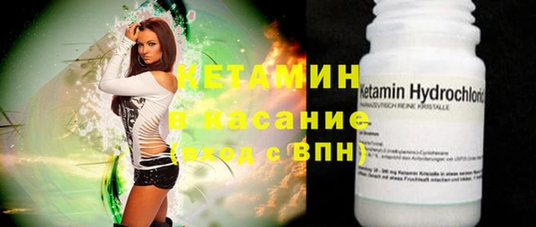 мдпв Ельня
