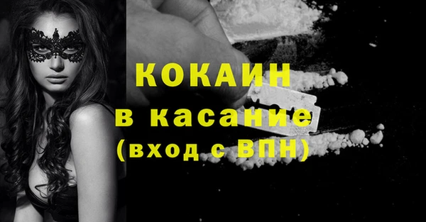 мдпв Ельня