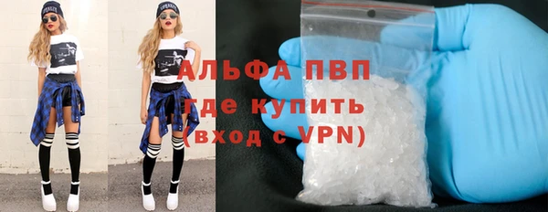 мдпв Ельня