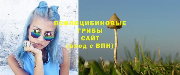 спиды Елабуга