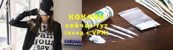 мдпв Ельня