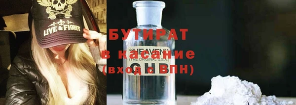 мдпв Ельня
