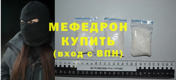 мдпв Ельня