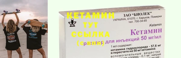 мдпв Ельня