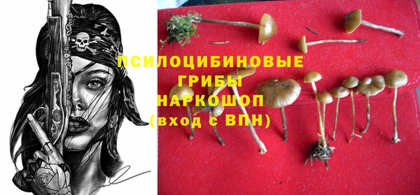 мдпв Ельня