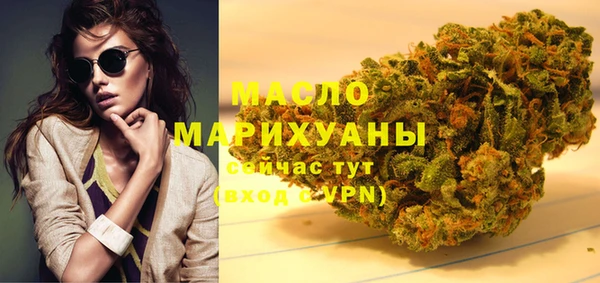 мдпв Ельня