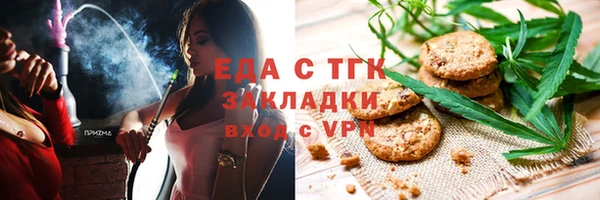 мдпв Ельня
