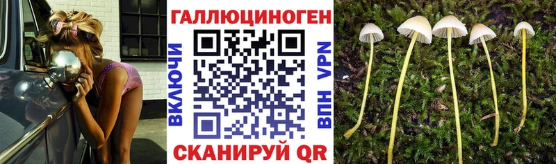 Купить где  Калязин  Галлюциногенные грибы мухоморы 